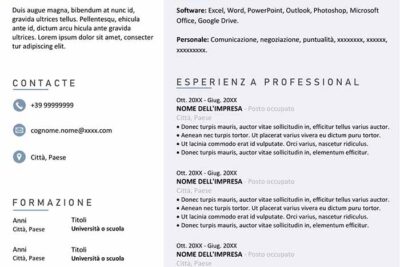 curriculum-vitae-di-lavoro