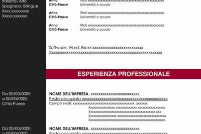 curriculum-vitae-due-pagine