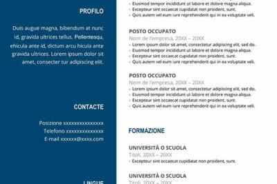 curriculum-vitae-elegante