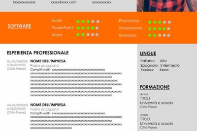 curriculum-vitae-infografico