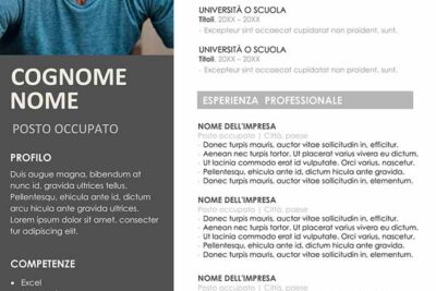 curriculum-vitae-primo-impiego