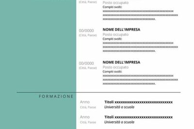 curriculum-vitae-successo