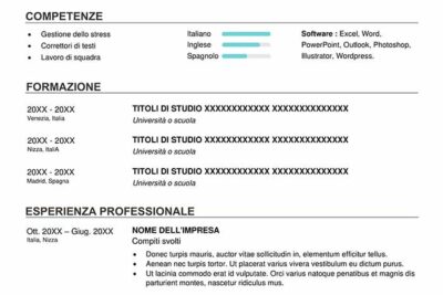 curriculum-vitae-visual