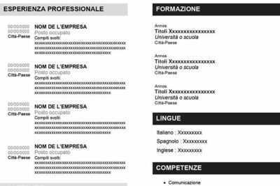 curriculum-vitae-digitale